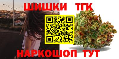гидра Камышлов
