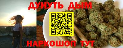 гидра Камышлов