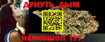 гидра Камышлов