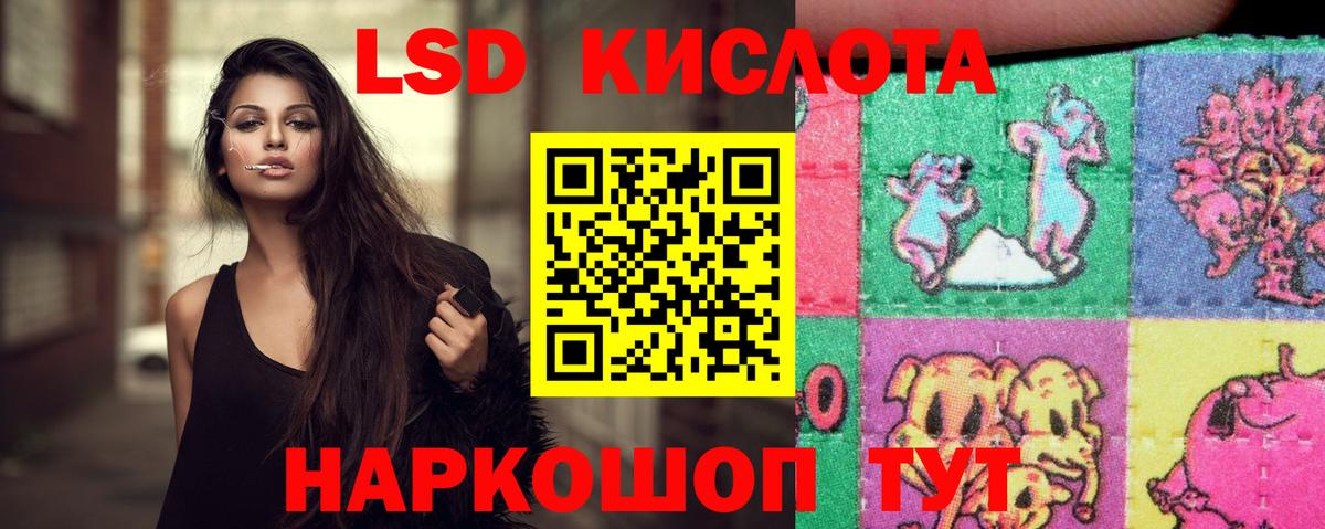 блэк спрут ссылка  Вход с VPN  Великий Устюг  Лсд 25 экстази ecstasy 