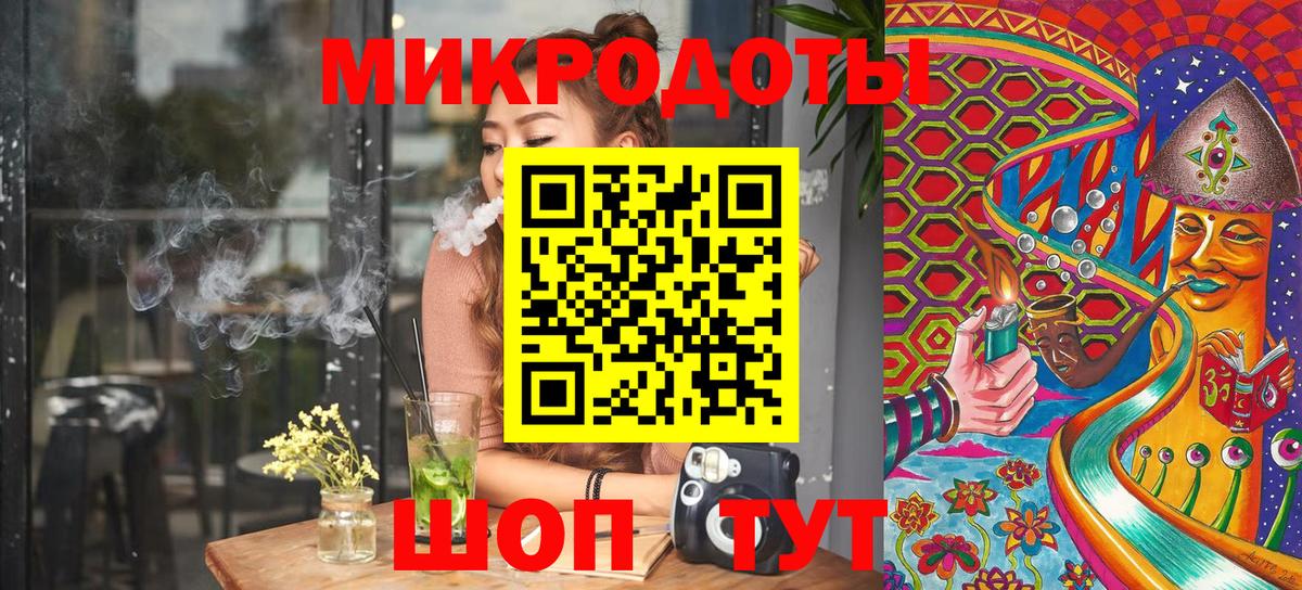 Великий Устюг  Псилоцибиновые грибы прущие грибы  Вход с VPN  Галлюциногенные грибы Psilocybe 
